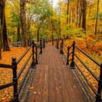 Journée Découverte à la PBA et Niveau 1 à Sherbrooke