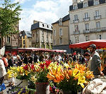 Journée Découverte à la PBA et Niveau 1 à Rennes
