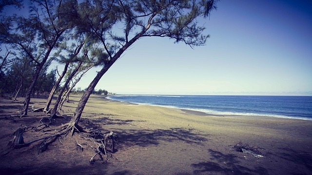 Journée Découverte à la PBA, Niveau 1 à St Pierre, Réunion